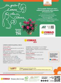 Volantino Conad City settimana 20 Pagina 4