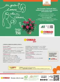 Volantino Conad City settimana 20 Pagina 4