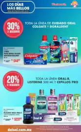 Catálogo Woolworth Página 14