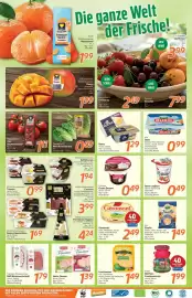 Inkoop Prospekt woche 21 Seite 2