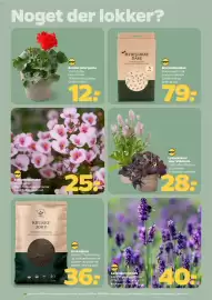 Netto tilbudsavis uge 20 Side 25