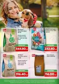 Magazine Animax Pagină 2
