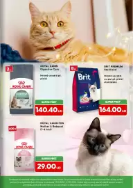 Magazine Animax Pagină 5