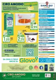 Volantino Ciro Amodio Pagina 12