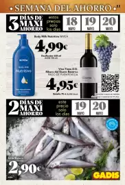 Folleto Gadis semana 20 Página 3