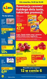 Lidl gazetka Strona 1