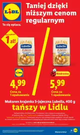 Lidl gazetka Strona 21