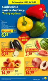 Lidl gazetka Strona 41