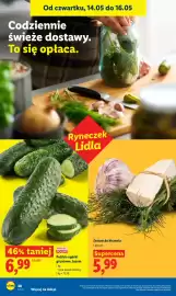 Lidl gazetka Strona 42
