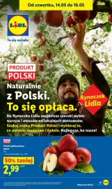 Lidl gazetka Strona 43