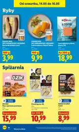 Lidl gazetka Strona 62