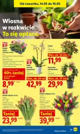 Lidl gazetka Strona 89