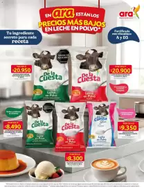 Catálogo Ara semana 20 Página 4