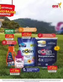 Catálogo Ara semana 20 Página 7