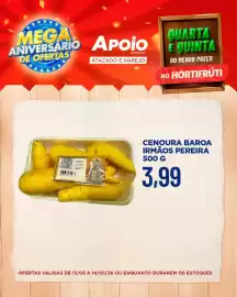 Folheto Apoio Mineiro Página 10