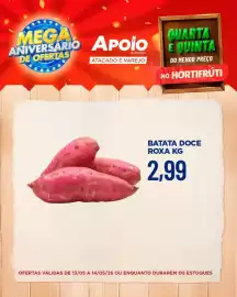 Folheto Apoio Mineiro Página 4