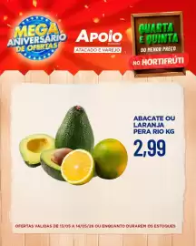 Folheto Apoio Mineiro Página 6