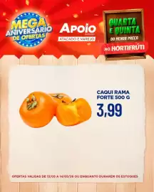 Folheto Apoio Mineiro Página 9