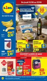 Catalogue Lidl semaine 21 page 1