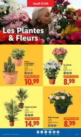 Catalogue Lidl semaine 21 page 25