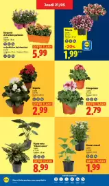 Catalogue Lidl semaine 21 page 26