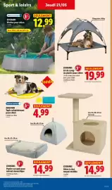 Catalogue Lidl semaine 21 page 37
