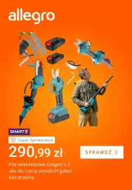Allegro gazetka tydzień 20 Strona 2