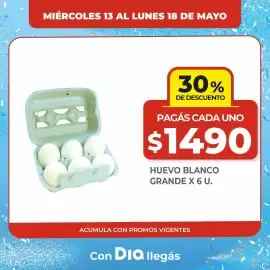 Folleto Supermercados DIA Página 13
