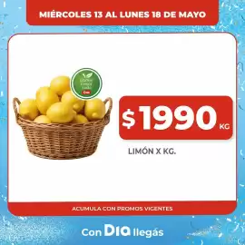 Folleto Supermercados DIA Página 14