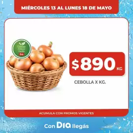 Folleto Supermercados DIA Página 17