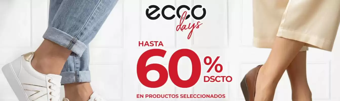 Ecco (válido hasta 31-05)