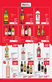 Catalog Selgros Pagină 13