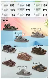 Catalog Selgros Pagină 41