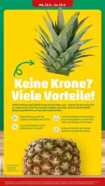 PENNY Prospekt woche 21 Seite 4