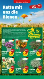 PENNY Prospekt woche 21 Seite 6
