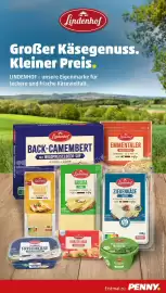 PENNY Prospekt woche 21 Seite 7