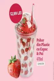 Catalog Jumbo Pagină 3