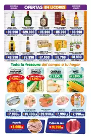 Catálogo Surtifamiliar semana 20 Página 6