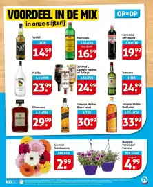 Hoogvliet folder week 21 Pagina 29
