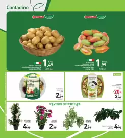 Volantino Conad Superstore Pagina 14
