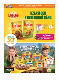 Globus leták týden 21 Strana 12