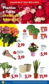 Folheto Lidl semana 21 Página 22
