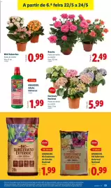 Folheto Lidl semana 21 Página 23
