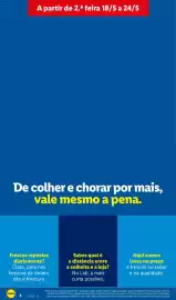 Folheto Lidl semana 21 Página 4