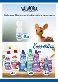 Volantino IperFamila Pagina 13