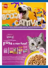 Volantino IperFamila Pagina 15