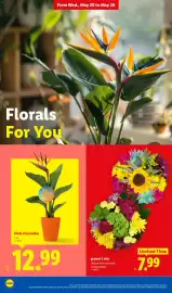 Lidl weekly ad week 21 Page 28
