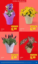 Lidl weekly ad week 21 Page 29