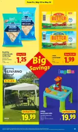 Lidl weekly ad week 21 Page 31