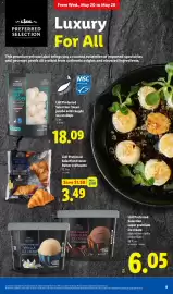 Lidl weekly ad week 21 Page 9